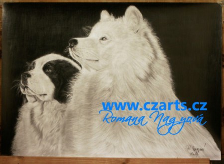 Landseer a Samojed